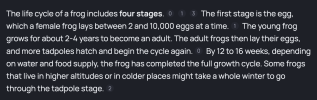 brave-frogs.png