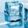 Iceman