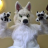 White Wolf